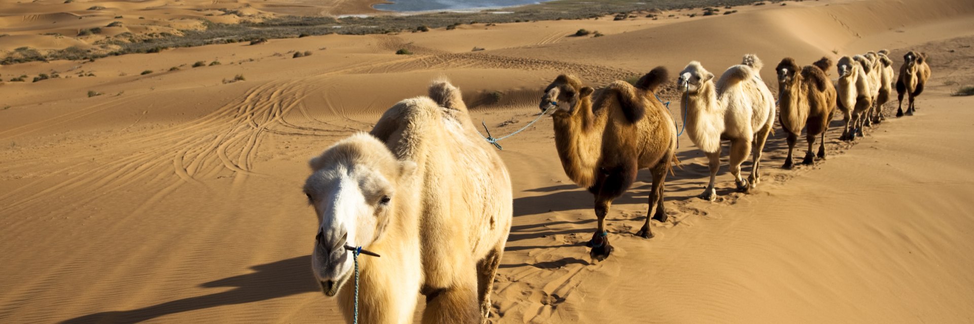 Silk Road