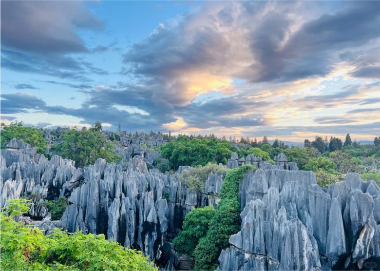 Stone Forest