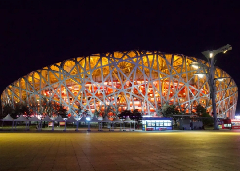bird nest