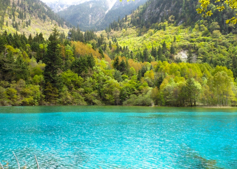Jiuzhaigou in Spring