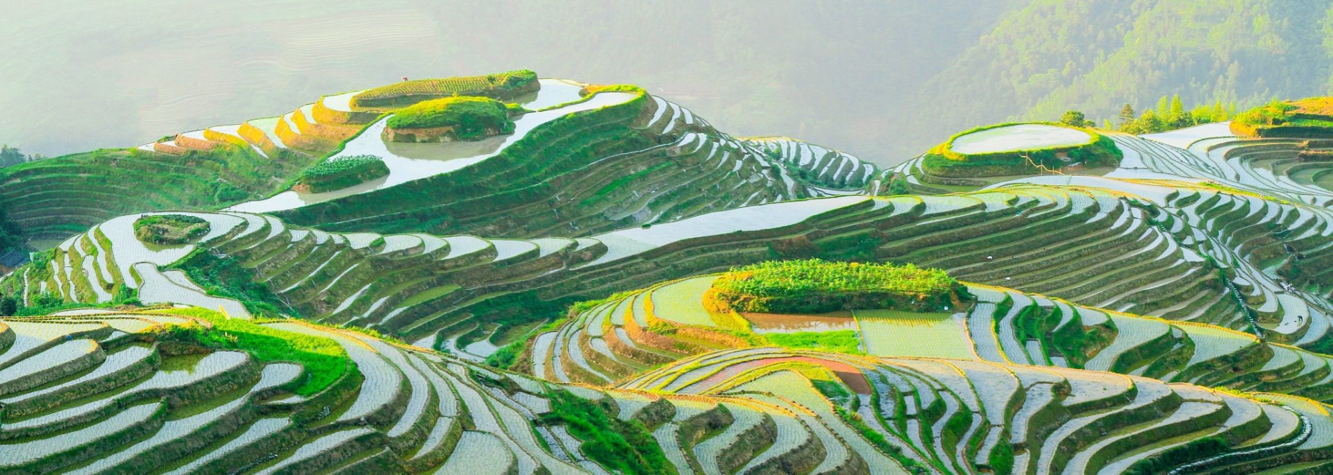Private China Tours