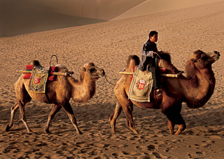Silk Road Tours for Seniors