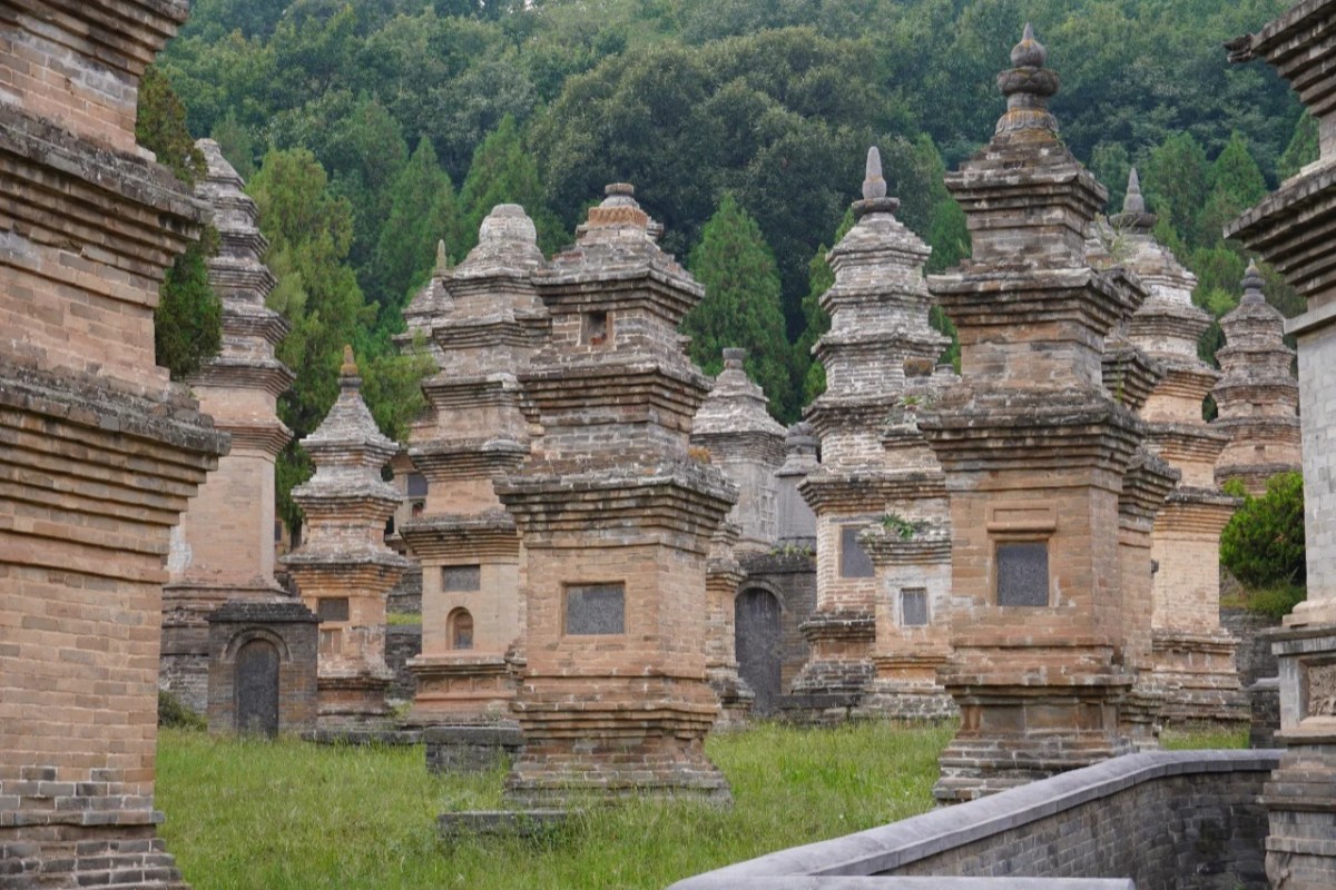 The Pagoda Forest