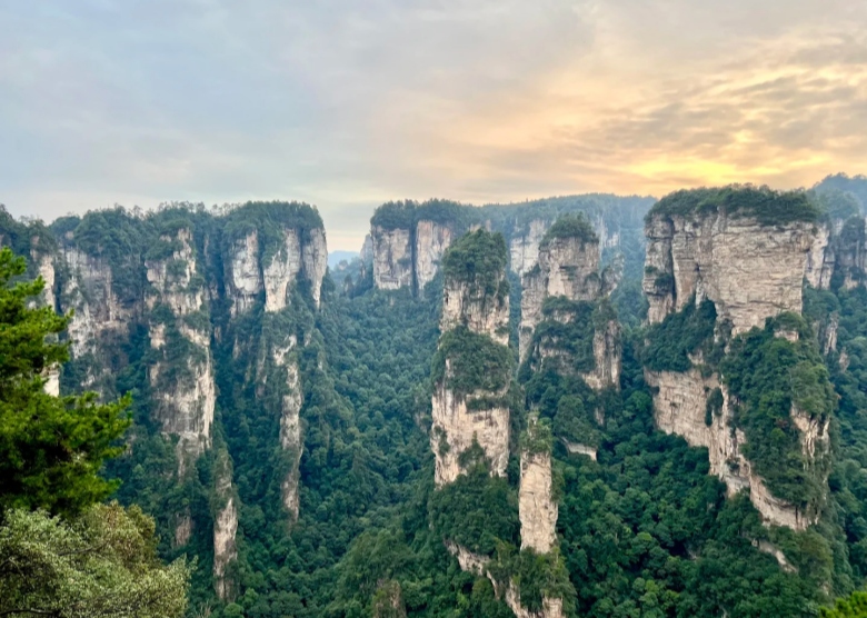 The iconic sandstone pillars of Zhangjiajie National Forest Park