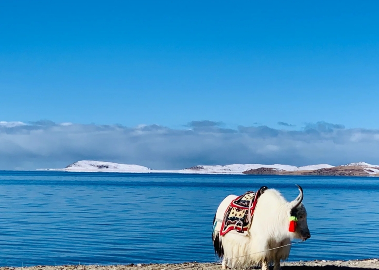 best time to visit Tibet